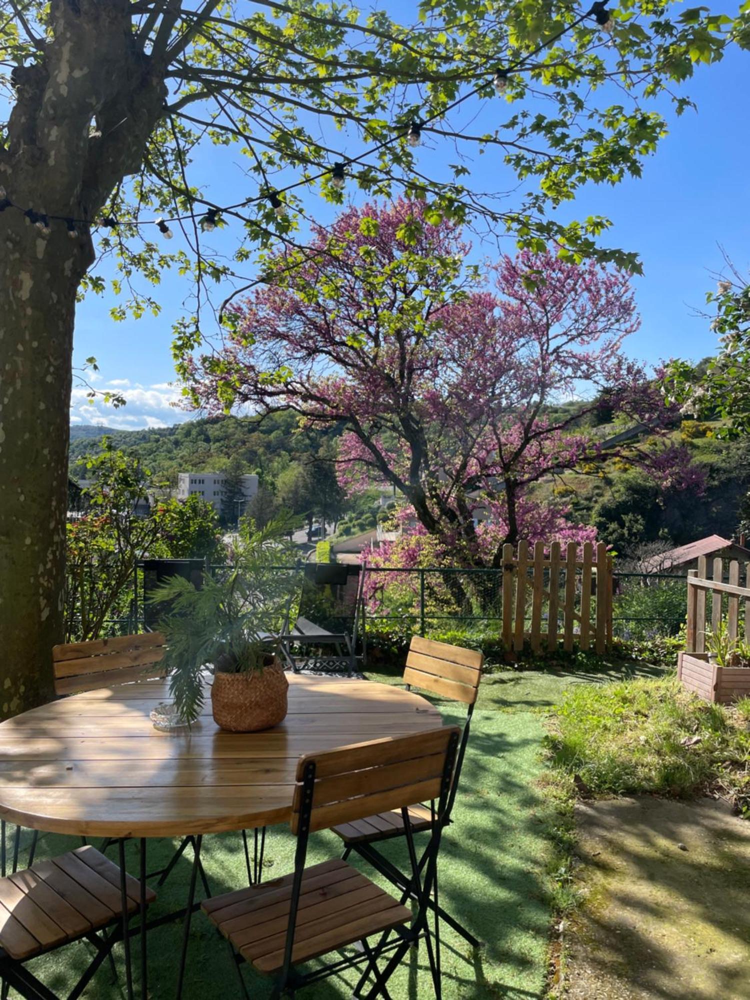 Maison A Avec Jardin Privatif Dans Domaine Des Crozes Vienne  Exteriér fotografie